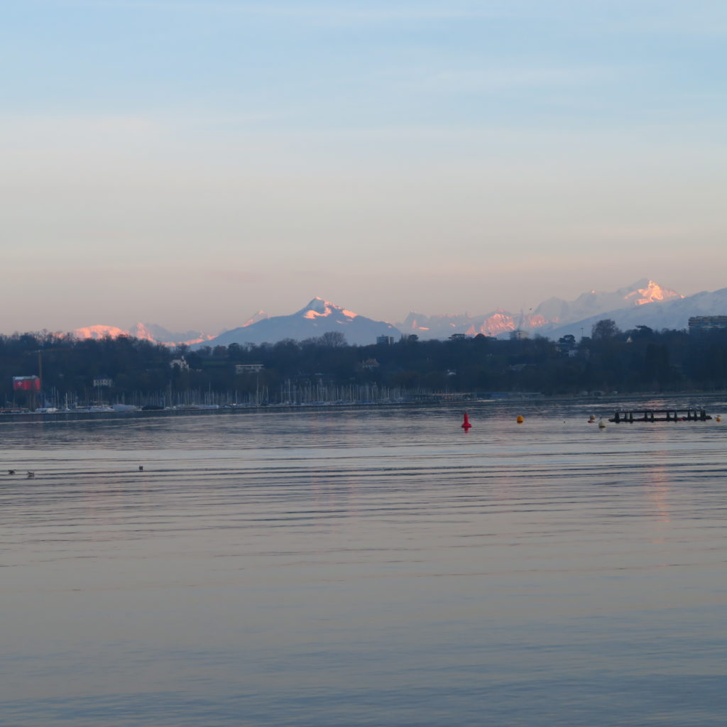 vechernyaya-progulka