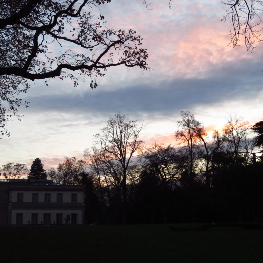 vechernyaya-progulka