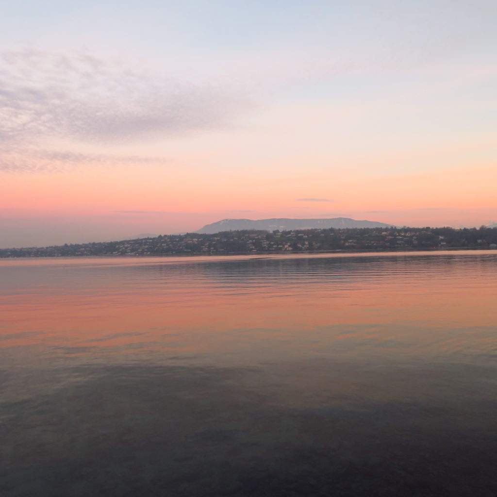 vechernyaya-progulka