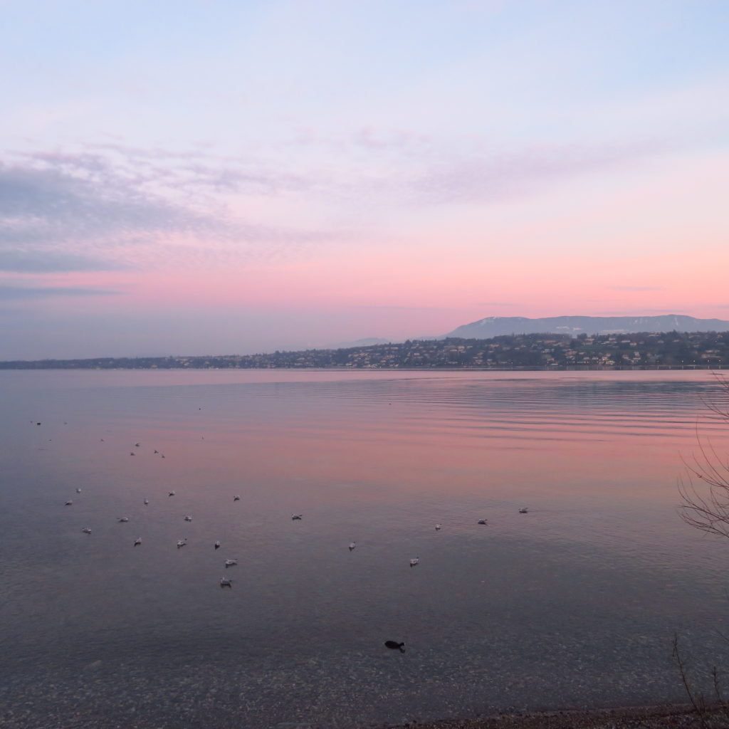 vechernyaya-progulka