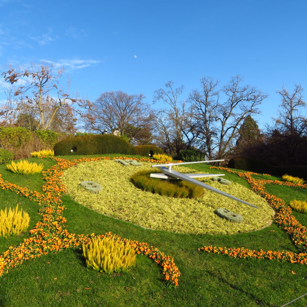 czvetochnye-chasy-zimoj