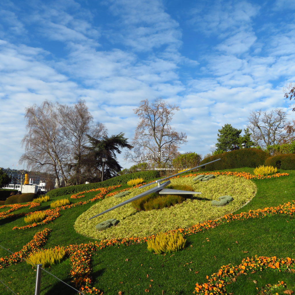 czvetochnye-chasy-zimoj