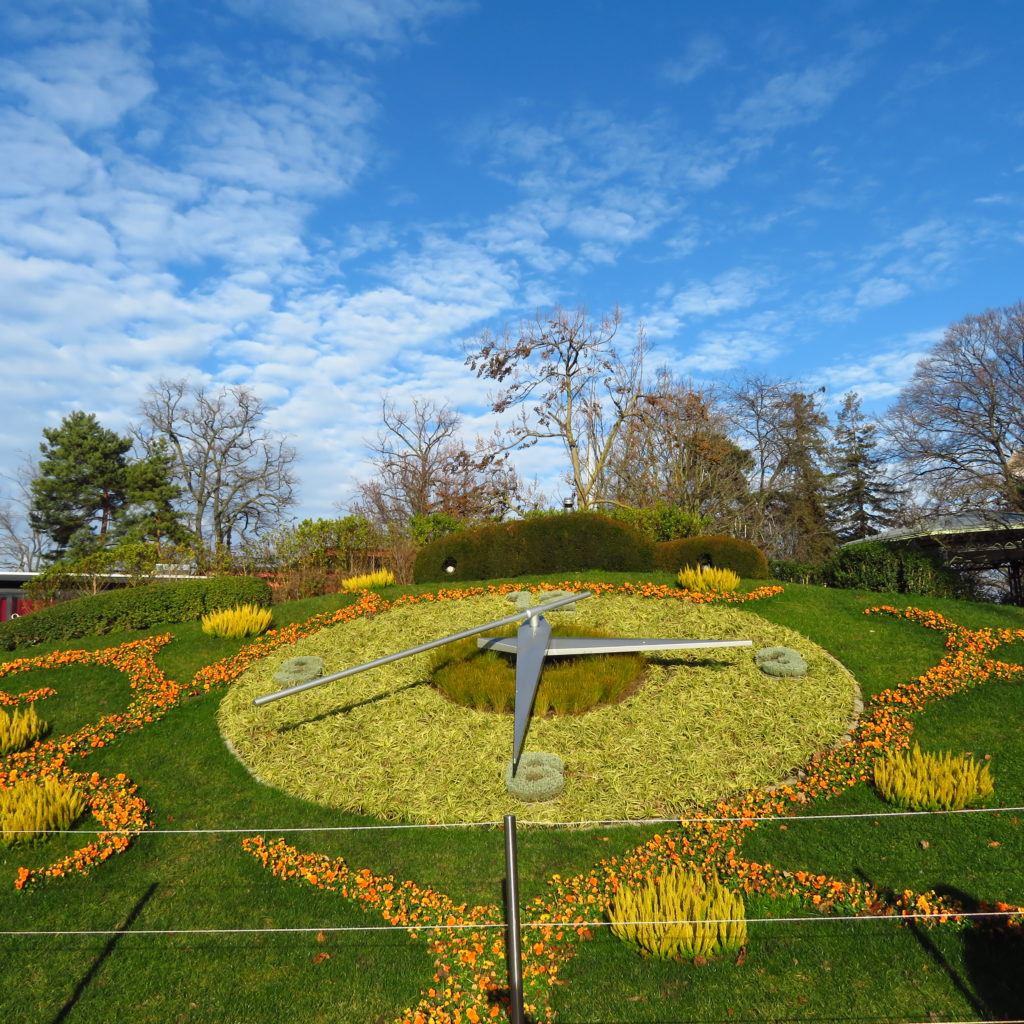 czvetochnye-chasy-zimoj